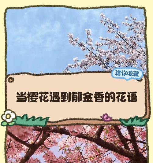 红叶樱花的花语与意义（探寻红叶樱花花语的深意与传承）